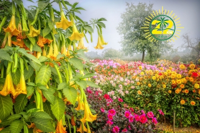 22KW Natur Bio Universaldünger